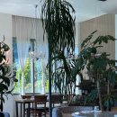 루셀로2 이미지