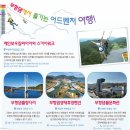 아포농공단지 공동이용시설 | 부동산경매 "추적 60분"