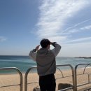 88서울올림픽기념  | 마음의 고향 강원도 속초 - 88생선구이, 은경이네 포차, 보사노바 커피 🌿