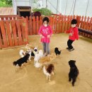 다은이 농장 이미지