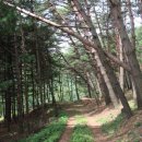 산너미농장 이미지