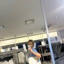 테라피안 | 헤어클립 2개 세트 - 골드 피니시 브라스 & 스틸(46Z656BSL.35OR) - 단발머리 문신템 내돈내산 솔직후기