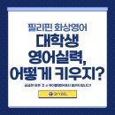 실용 생활 영어 | 대학생 화상영어 솔직 후기 | 실제 경험으로 본 영어회화 변화