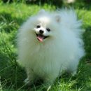 송산유치원 이미지