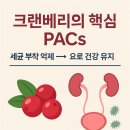 더큰사랑약국 이미지