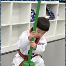 올바른 태권도 이미지