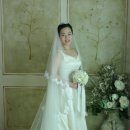 장가