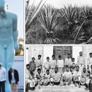 독립농장 이미지