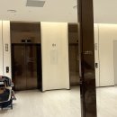 롯데이불커텐 | [내돈 내 산] 롯데호텔앤리조트 김해 아이 셋과 함께 스위트 31평 솔직 후기 온수풀 주차 꿀팁