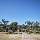 향나무로 이미지