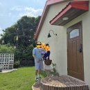 릴렌하우스 | [제주도]아이와 함께한 5박6일 제주여행 2일차