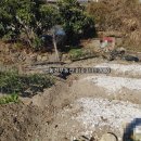 구산면423 네이버블로그