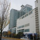 둔산북로 이미지