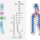 우리두리약국 이미지