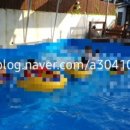 스테이4324 이미지