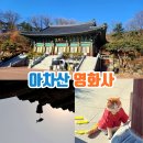서울산유치원 | 아차산 등산코스 힐링 여행 서울 절 영화사 사찰 추천
