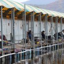 어천낚시터 이미지