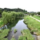 전주농수산물도매시장 이미지