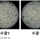 이삭 RPC 이미지