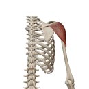 새로워 GYM 이미지