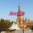 시에스타민박 이미지