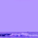 보라색