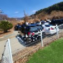 펫프닝 타운 이미지