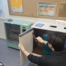 무지개방역/바퀴벌레콜센터 | 전주방역업체, 상권마다 바퀴 들어오는 길이 다릅니다 — 식당 사장님 기준