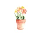 대전법동중학교 이미지