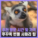 일일 | 푸꾸옥 사파리 가격 시간 가족여행 일일투어 후기