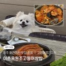 이춘옥원조고등어쌈밥월정점 | 제주도 애견동반 식당 추천 애월 맛집 이춘옥원조고등어쌈밥 방문 후기