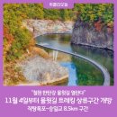 [11월 걷기독서모임] -11월 27일(월) 오전9시~ 철원 한탄강 물윗길 트레킹,&소이산조망 이미지