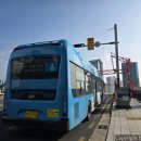 현대자동차괴정