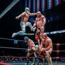 루차리브레 | 🤼 멕시코 전통 레슬링 직관 후기 - 루차리브레(Lucha Libre)