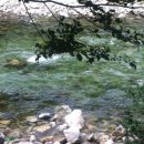 배꼽장승 이미지