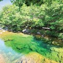 지리산내음 이미지