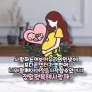 아미블로썸