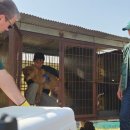 흥덕농장 이미지