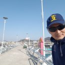2020-2-20 전남 고흥 녹동항에서 숭어 흘치기 캠핑및 낚시 이미지