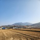 망주보건진료소 네이버블로그