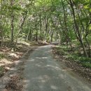 신어산 산림욕장 이미지