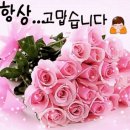 2026년10월9일 제31회 달성군민체육대회 이미지