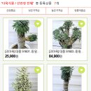 수림화원 - 용산구 회나무로44길 50 | 수림화원