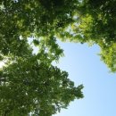 부부번역행정사사무소 이미지