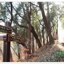 바람고개길 이미지