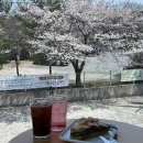 유아이 | 대구칠곡카페 학정동 벚꽃뷰 브런치카페 재방문 후기 에이치유아이