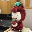 (상반기)시니어를 위한 온라인 생활 길잡이 | 2025 하반기 하나은행 신입행원 최종합격(서류/필기/면접) + 연수원 후기