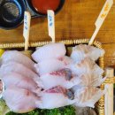 꿀PC | [ 시흥 정왕동 해산물 맛집] 여러 종류의 해산물과 여러 종류의 회를 한 번에 맛볼 수 있는 곳은 어디...