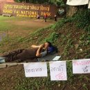 [태국 뉴스] 10월 21일 정치, 경제, 사회, 문화 이미지