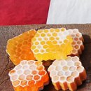 지당농장 이미지